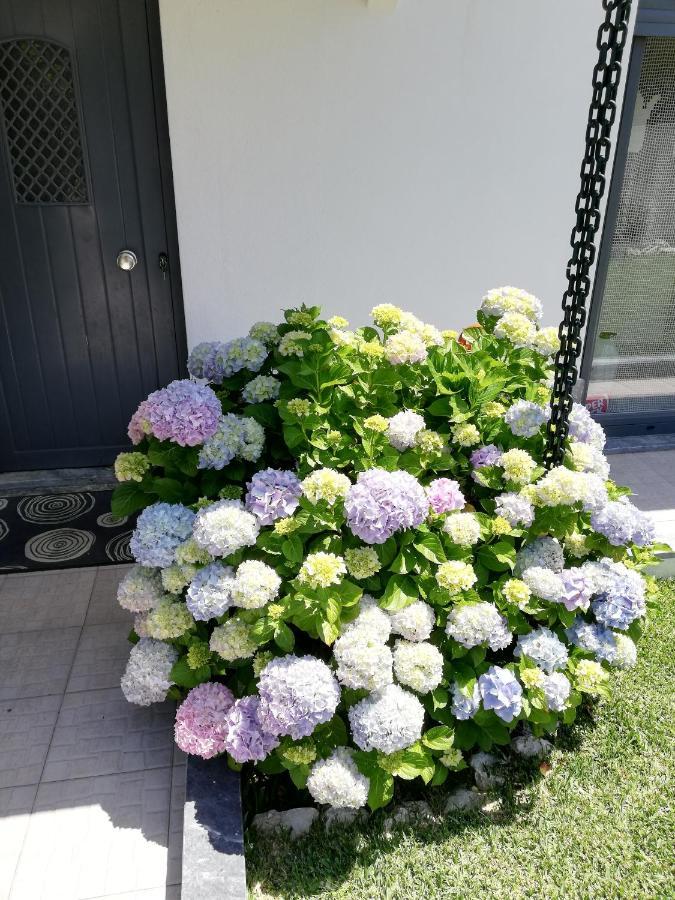 Moradia No Seixal Ericeira Hotel Екстериор снимка